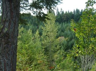 49153 Dunning Rd, Oakridge, OR 97463