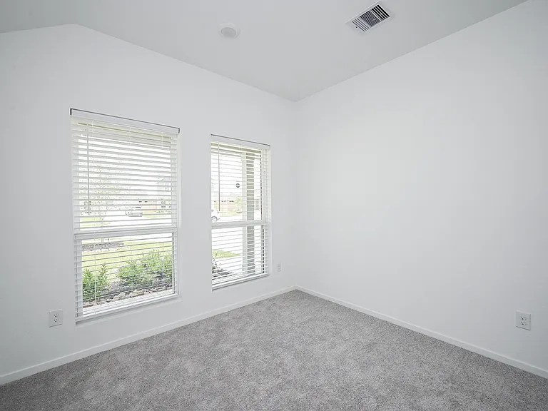 26811 Tree Mallow Dr — Photo 18