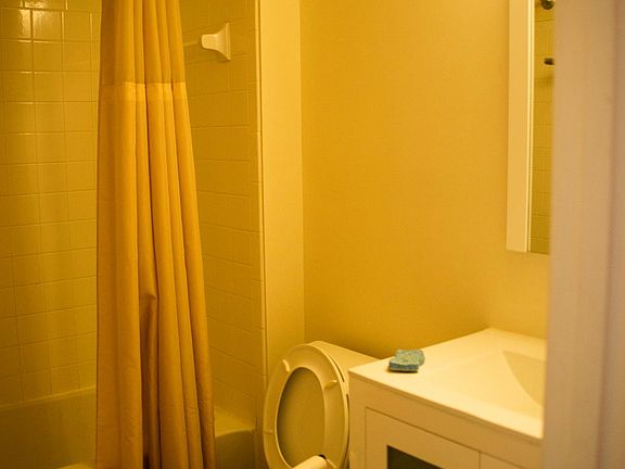 5th image of 3337 Oakshade Ct