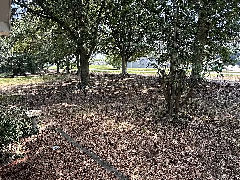 Shoal Creek Rd — Photo 3