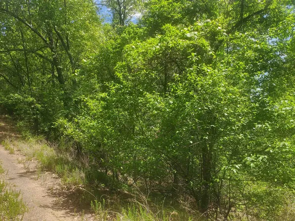 010-01926-095 Glenpike Dr, Mountain Home, AR 72653