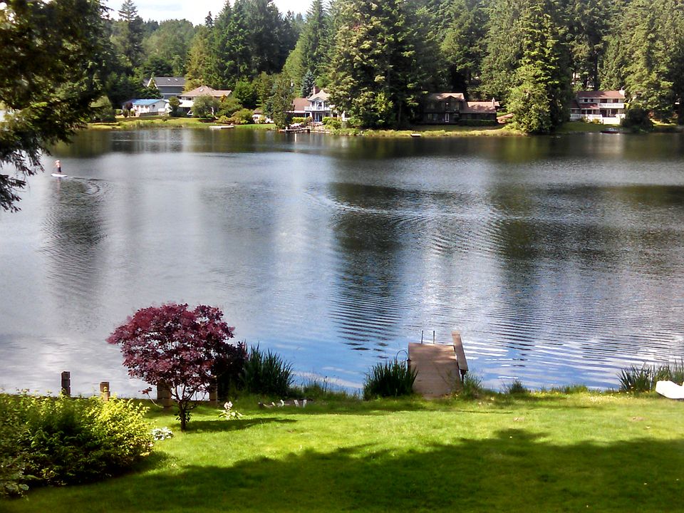 View from deck back yard