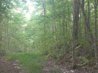 9391 Jackson Point Rd, South Pittsburg, TN 37380