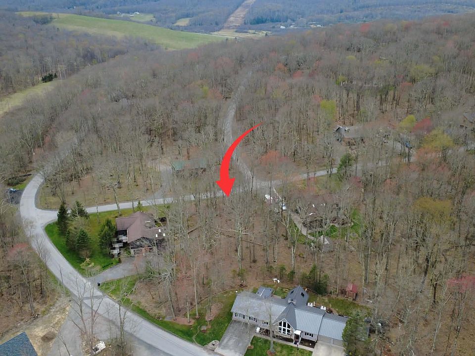 1st image of Anemone Ln