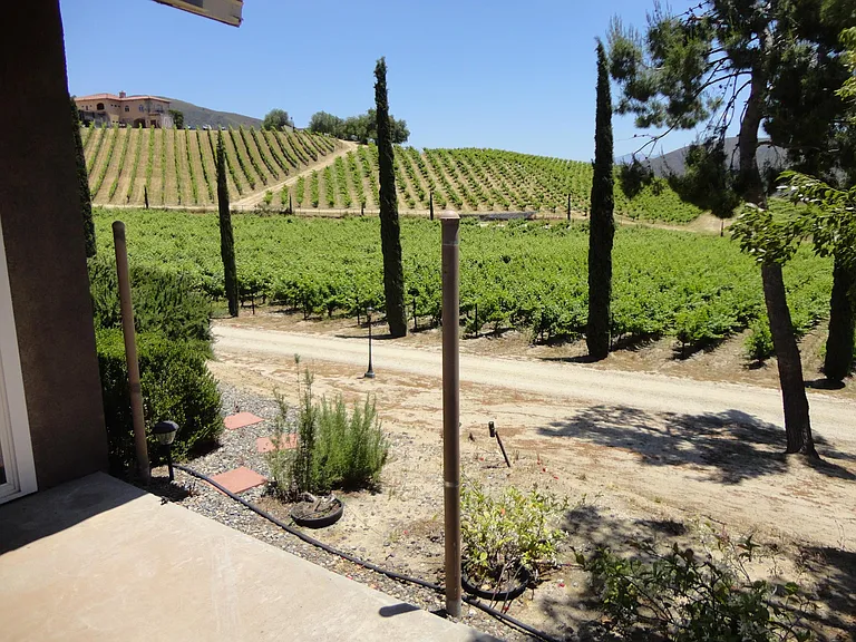 37850 De Portola Rd — Photo 19