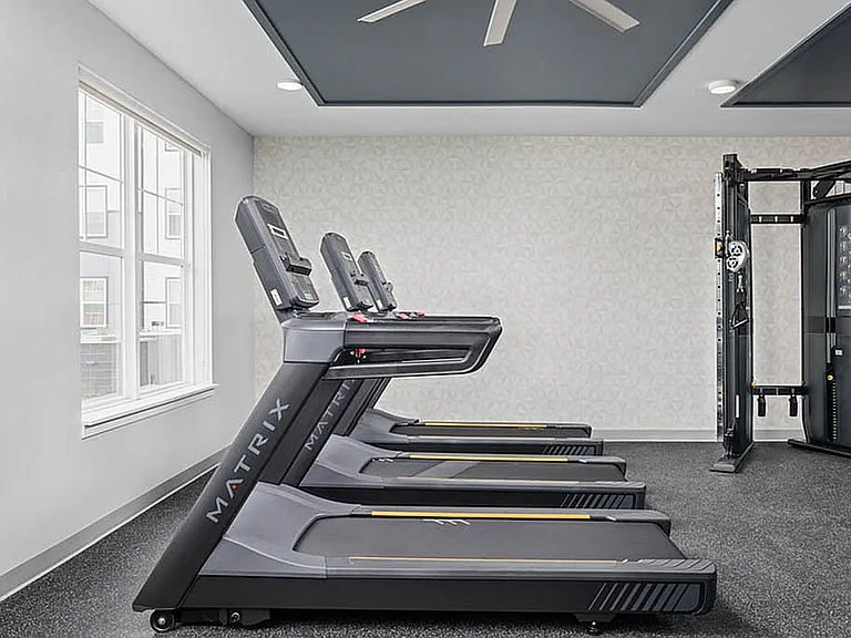 Modern Fitness Center Featuring Treadmills