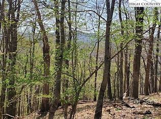 65 Fire Pink Rd, Boone, NC 28607