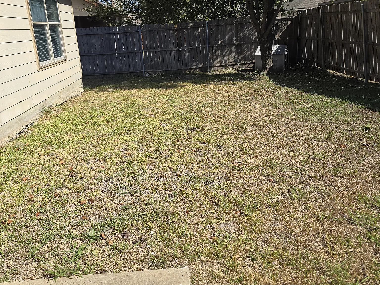4 bed, 2236 sqft, $2,100 — Photo 2