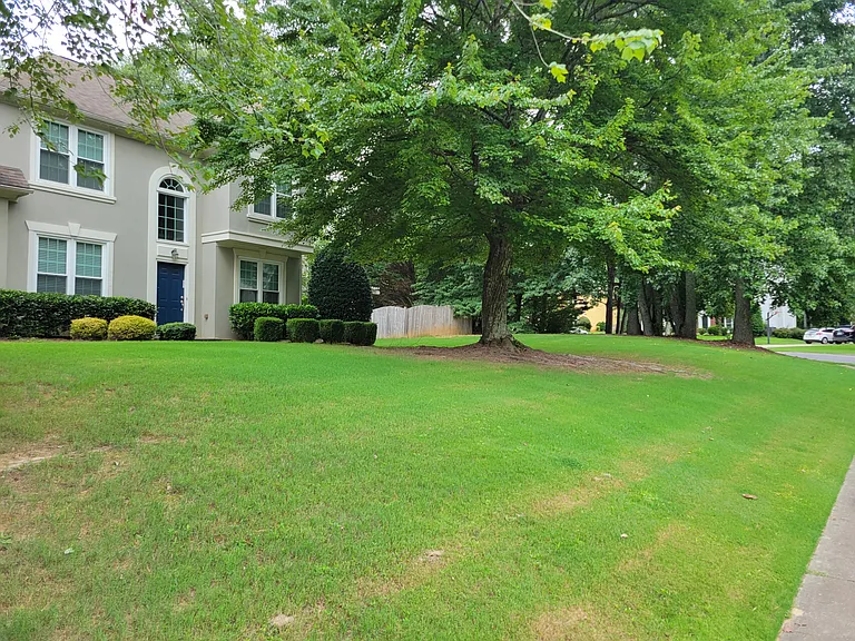 front lawn. You will need a big mower or rider or service to tackle that. The edging is especially challenging because it just is a long front yard there.