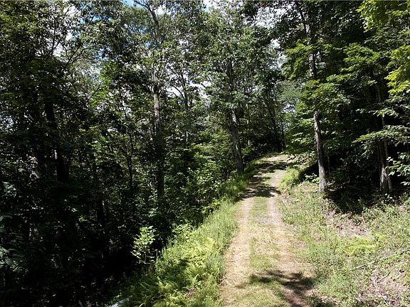 3rd image of TBD Nettles Knob