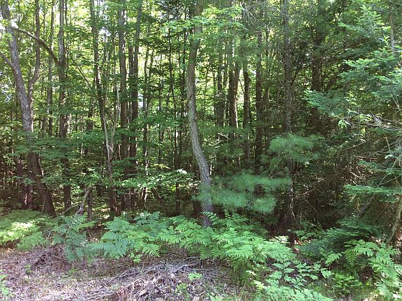 4th image of 0 Pine River Trl
