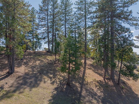 5th image of 323 Forest Meadows Dr
