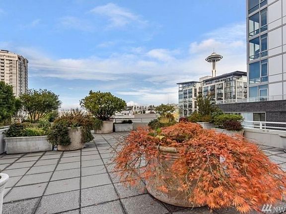 Rooftop deck