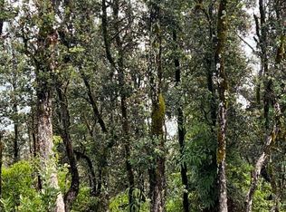 Alii Papa St, Volcano, HI 96785