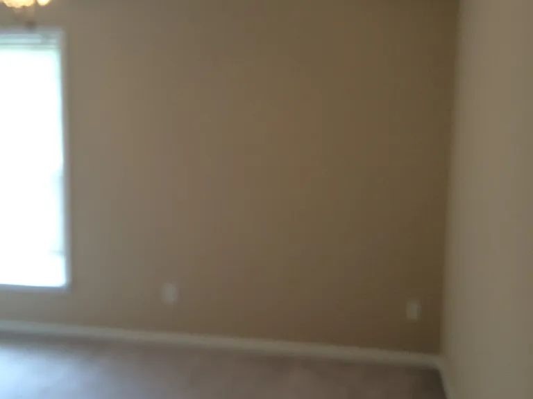 1384 Bellsmith Dr — Photo 2
