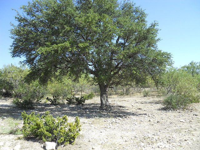 1st image of 0 Fm 1691 #See