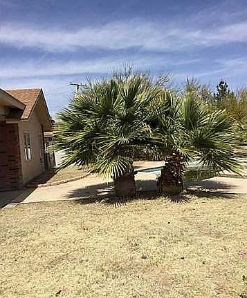 2nd image of 3324 Hourigan Pl