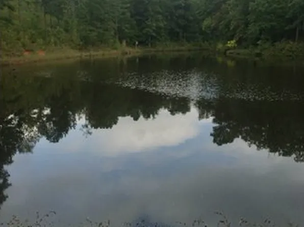 1944 Felton McMichael Rd, Monticello, GA 31064