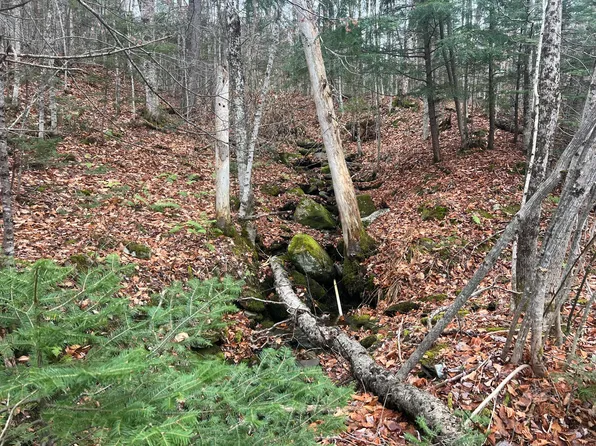 Lot 1 & 2 Thistle Street, Upton, ME 04261