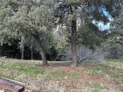 0 Orchard Dr #21, Wrightwood, CA, 92397
