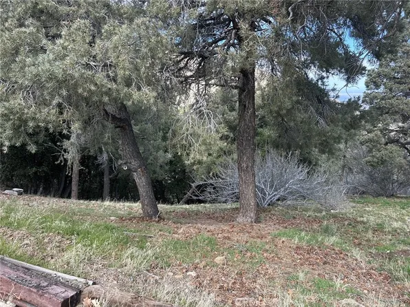 0 Orchard Dr #21, Wrightwood, CA 92397