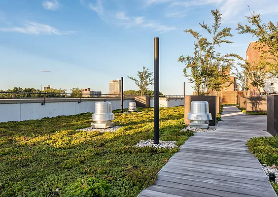 Rented by Nooklyn NYC LLC | media 54