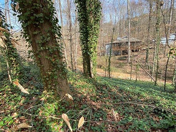 5th image of 9415 Ponderosa Trl