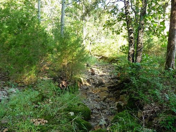 3rd image of 11447 County Road 6390