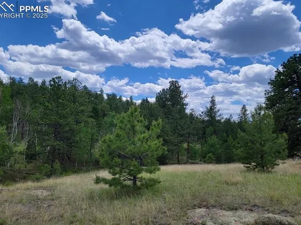 126 Gleneagle Dr, Florissant, CO 80816