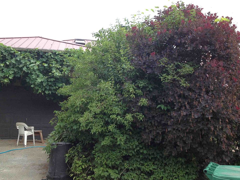 2nd image of 1034 NE 104th St