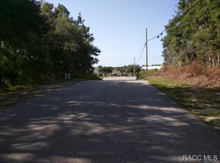 2583 N Leesburg Ave, Hernando, FL 34442