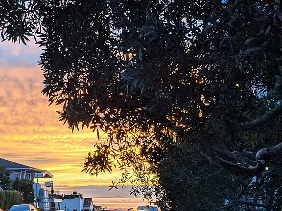 Ocean view at sunset from the front yard