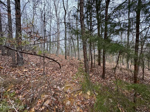 44 Zuni Way Lot Del, Del Rio, TN 37727