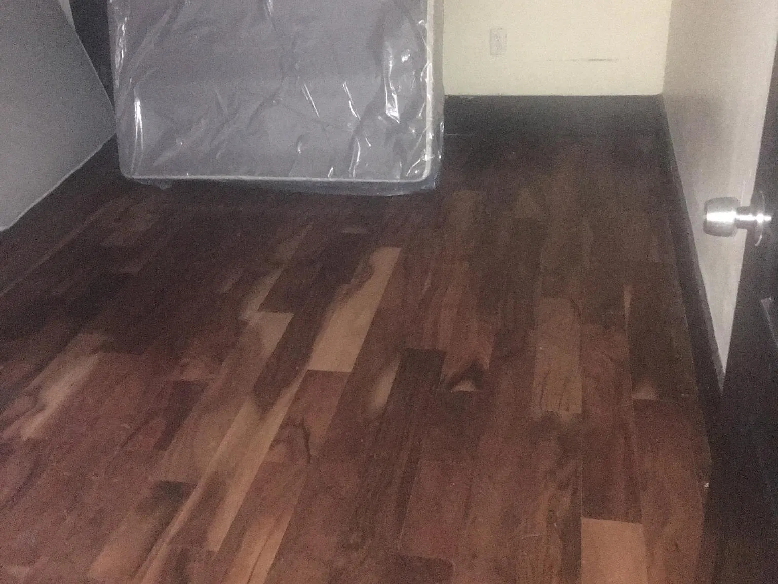 1 bed, 700 sqft, $950 — Photo 3