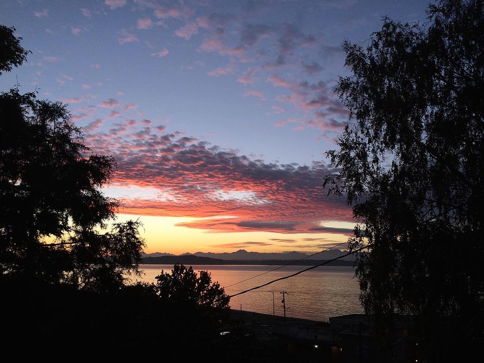 View from deck