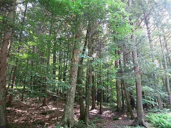 4th image of Tbd Glenford Wittenberg Rd
