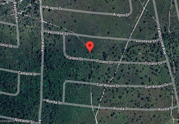 5th image of 8024 Tiziano Dr
