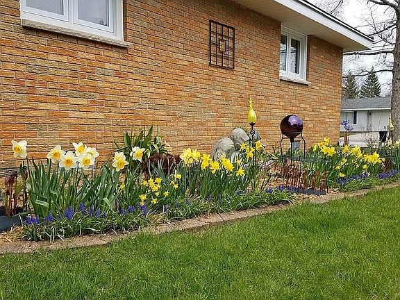 2nd image of 2534 Diamond Dr