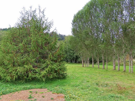 View from front door.