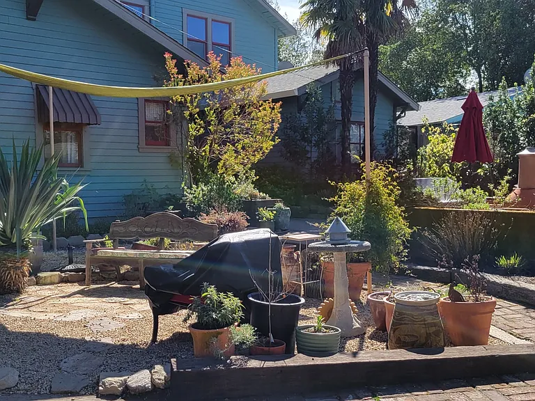 Shared yard