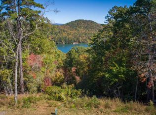 40 Ivy Ridge Way, Clarkesville, GA 30523