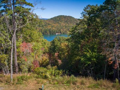 40 Ivy Ridge Way, Clarkesville, GA, 30523