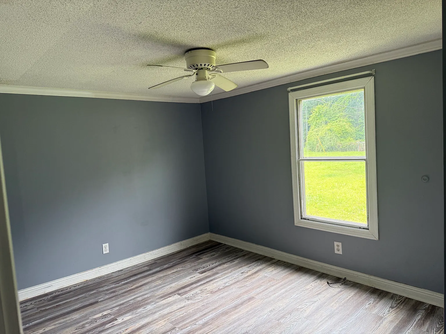 3055 Alice Drive - 1 — Photo 3