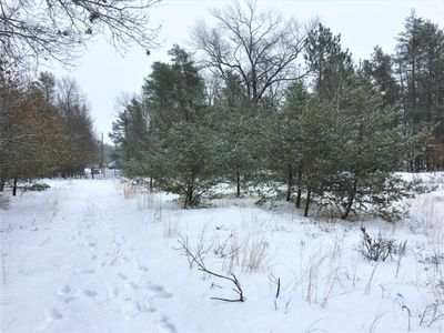 F 41, Oscoda, MI, 48750