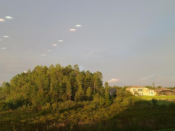 3rd image of 2646 Oakwood Preserve Dr