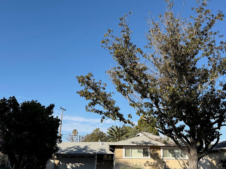 1st image of 3371 Cabrillo Ave