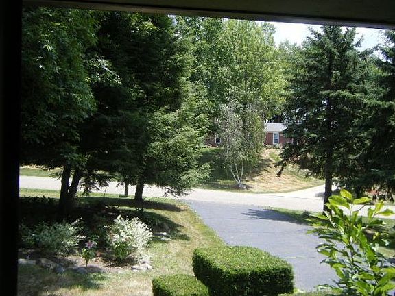 View from Front Door