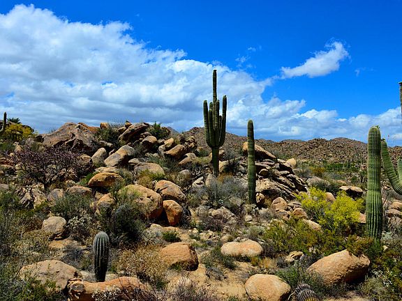 4th image of 1455 W Tortolita Mountain Cir