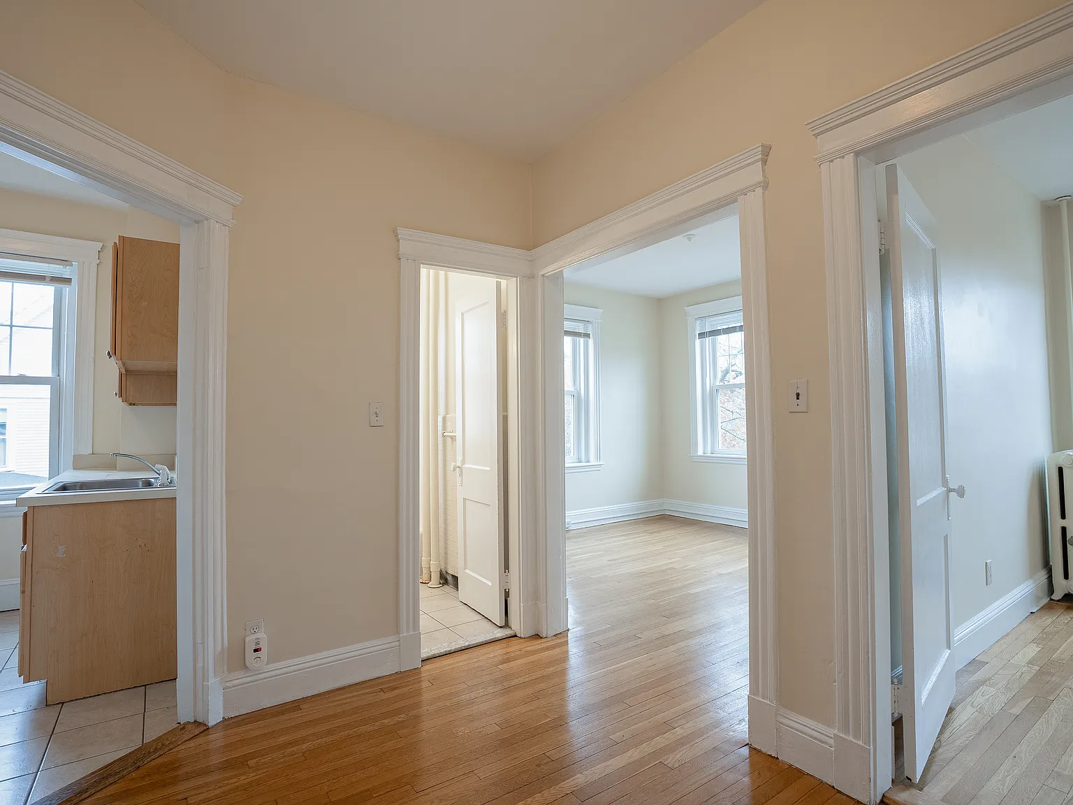 37-41 Wendell St — Photo 2