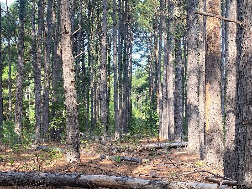 2nd image of 14466 County Road 393